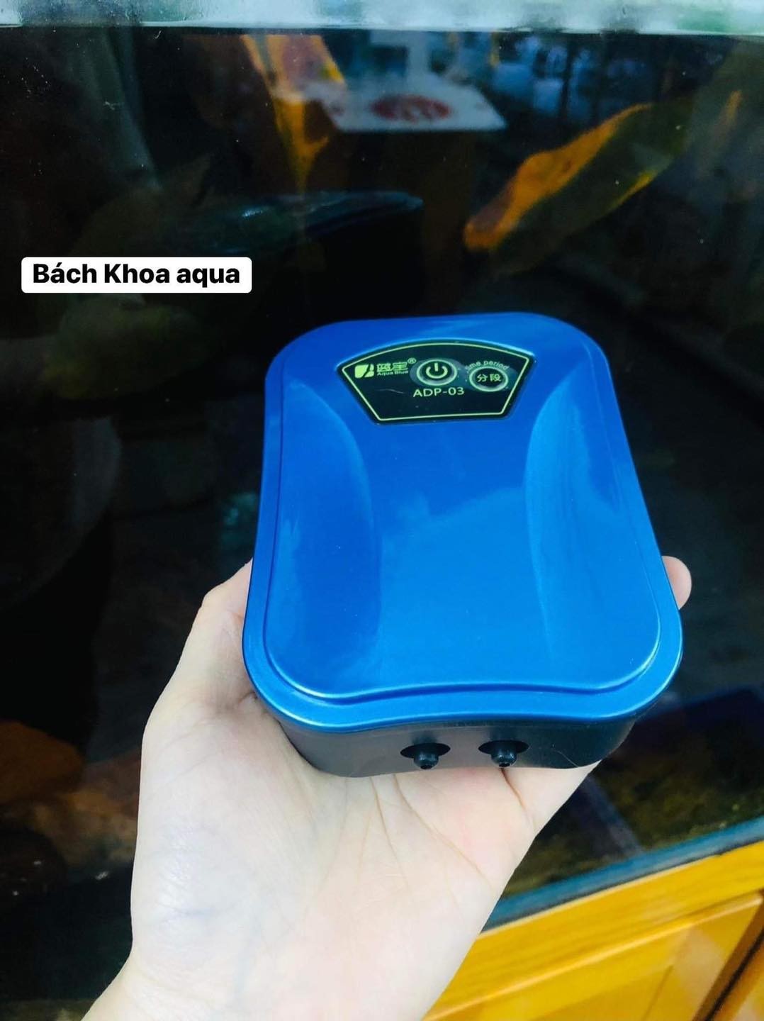 Máy sủi khí tích điện Aquablue 1 vòi - 2 vòi